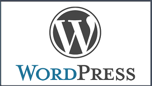 Garsių prekių ženklų tinklalapiai su WordPress